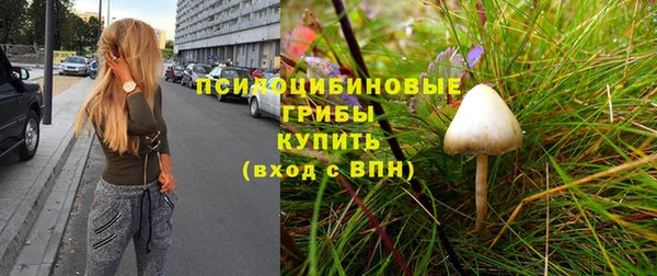 трава Алексин