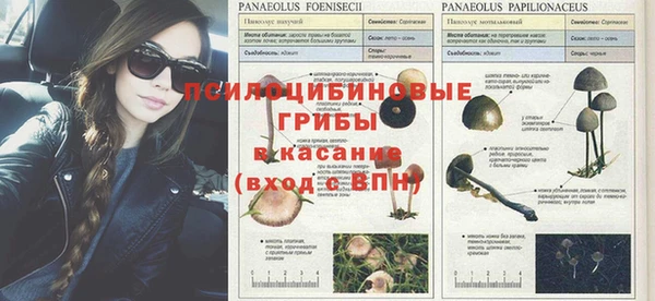 хмурый Алексеевка
