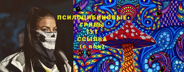 хмурый Алексеевка